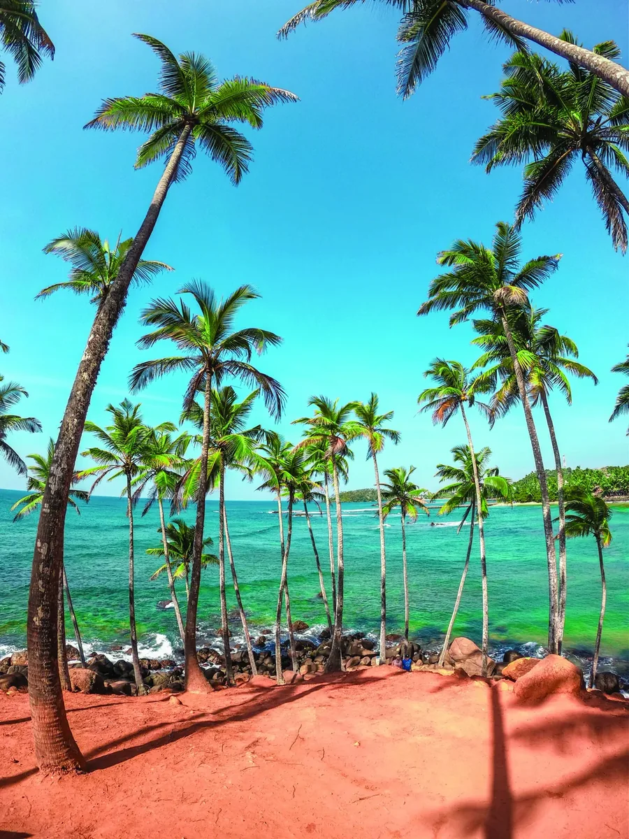 Palm-fringed beach on Sri Lanka's south coast